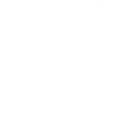 sso Logo